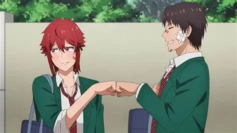 6 ANIMES PARECIDOS a TOMO CHAN WA ONNANOKO